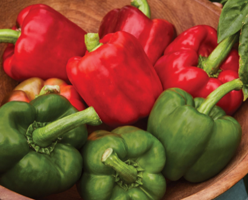 Surviving 2026 : What I am growing cover photo collage