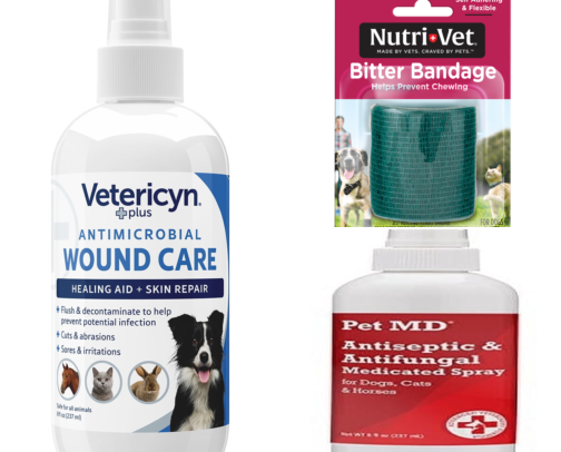 I Built a Pet First Aid Kit After My Dog Scared Me Half to Death cover photo collage