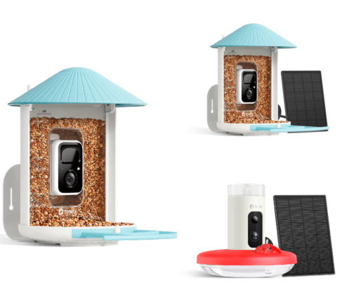Gifts for bird lovers 2026 cover photo collage