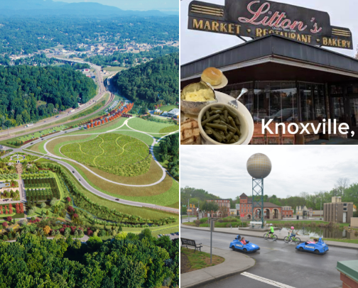 Top local travel recommendations ✈️ cover photo collage