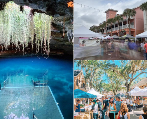 Gainesville Area Favorites cover photo collage