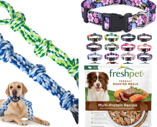 Must haves for the dog in your life 🐾 cover photo collage