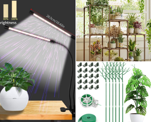 Green thumb 🌱 cover photo collage