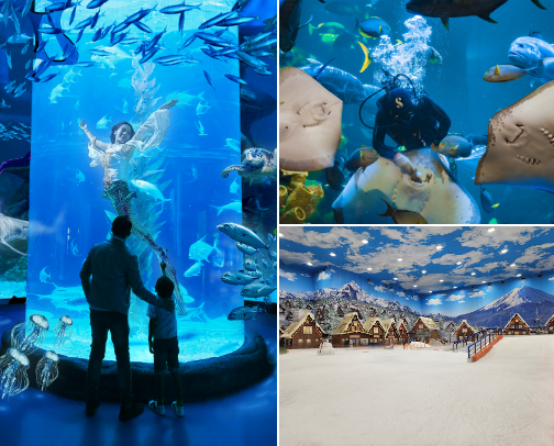 My Favorite Indoor Adventures with my daugther 👭🏰 cover photo collage