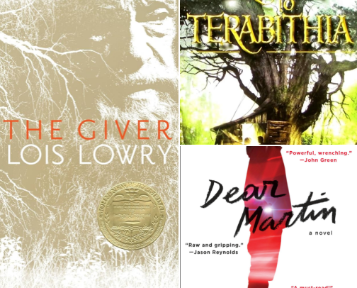 Banned Books Rebel cover photo collage