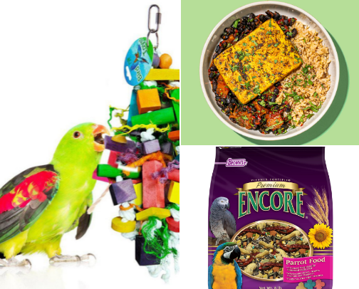 Parrot Toys Treats and Food cover photo collage