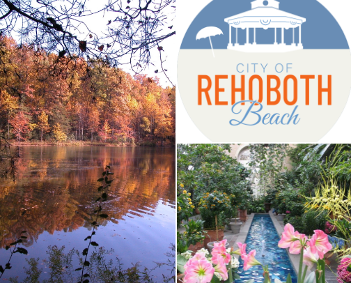 Things to Do Around Maryland That Aren’t Overhyped cover photo collage