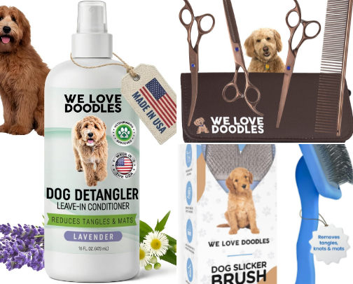 Everything I'd Buy for New Golden Doodle Owners cover photo collage