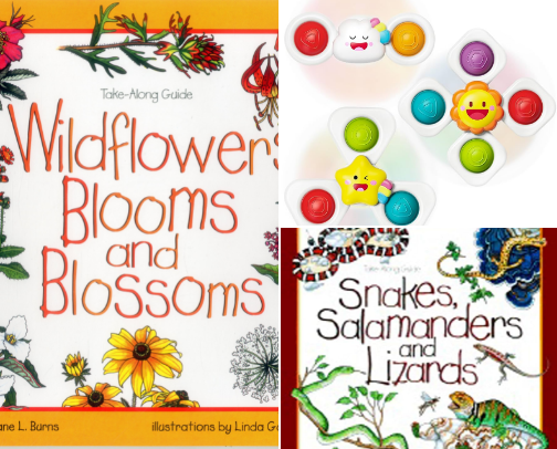 Entertaining and Educational cover photo collage