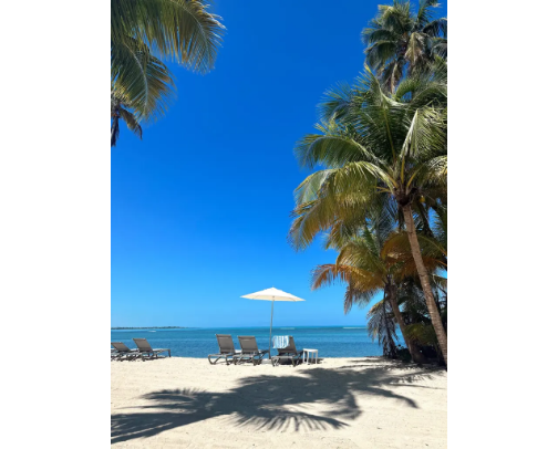 - “Spring Break 2025: The Ultimate Escape List” cover photo collage