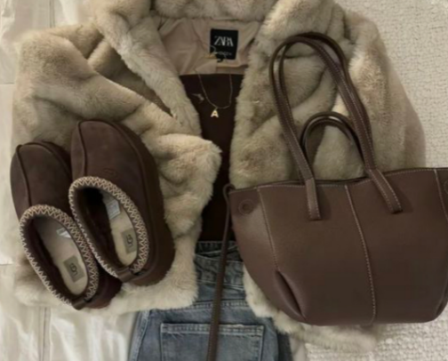 Winter Haul Shein Edition ❄️ cover photo collage