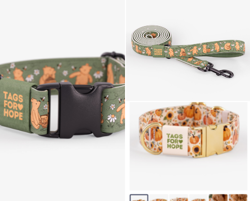 Show your pets some love by getting them in style! cover photo collage