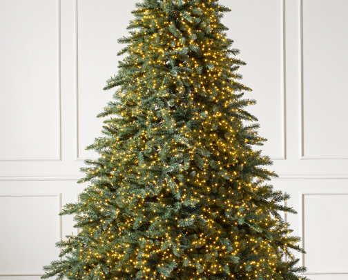 It's giving GRAND DUCHESS | internet famous Christmas trees 🎄 (updated 11.24.25) cover photo collage