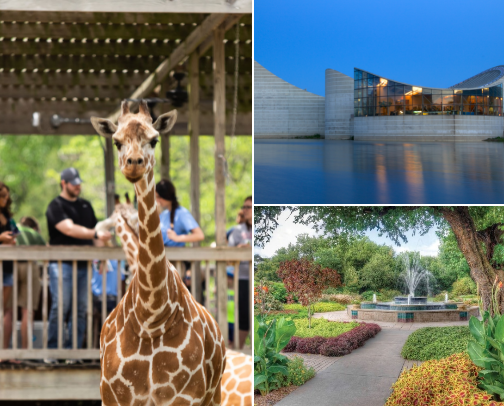 Things to do in Wichita KS! cover photo collage