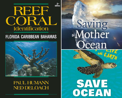 Save me! Says the blue planet 🌎 cover photo collage