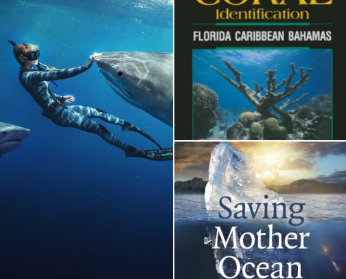 Beyond the myth,Sharks are the Ocean guardian, lets protect them! cover photo collage