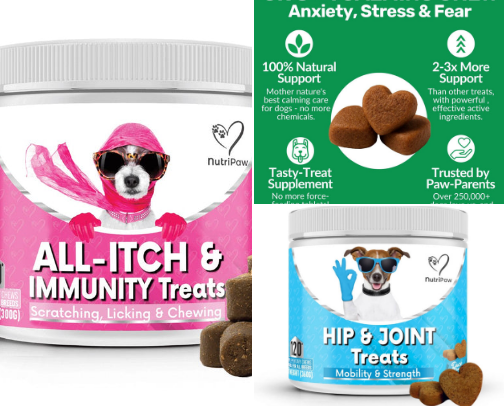 Best Supplements for Dogs (Skin, Joints & Gut Health) cover photo collage