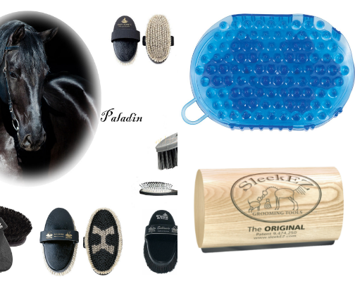 Gus grooming cover photo collage