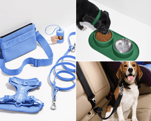 My dog's world cover photo collage