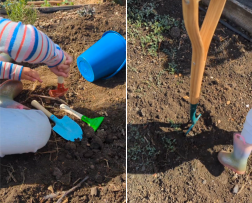 Grow Wild: Gardening Gear for Families & Kids cover photo collage