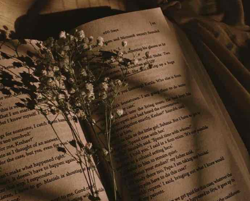 the books that had me screaming, crying, throwing up cover photo collage