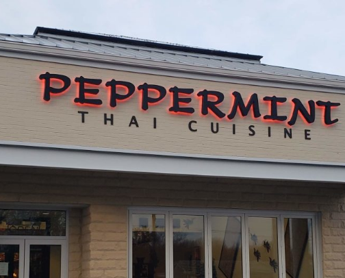 My top Solon recs cover photo collage