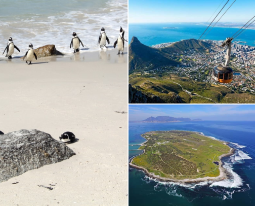 Cape Town Tours Actually Worth Booking (From a Local Photographer) cover photo collage