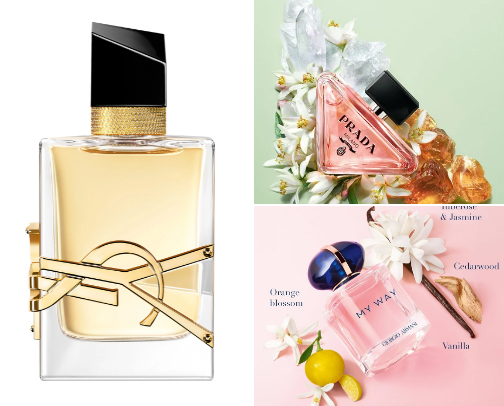 People literally turned their backs on me after smelling these scents. cover photo collage