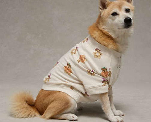 Fall cover photo collage