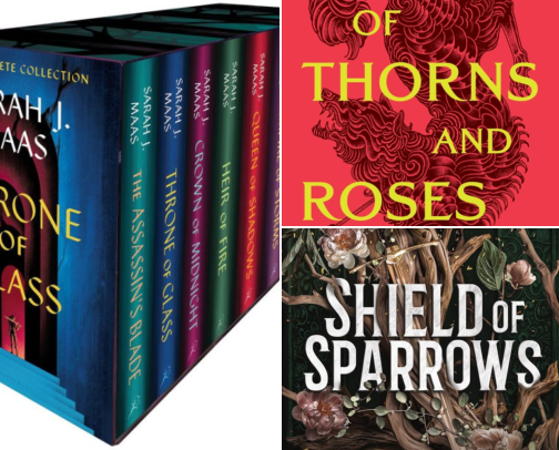 Recent Reads cover photo collage