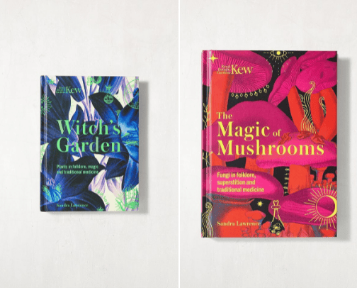 My aesthetic book collection cover photo collage
