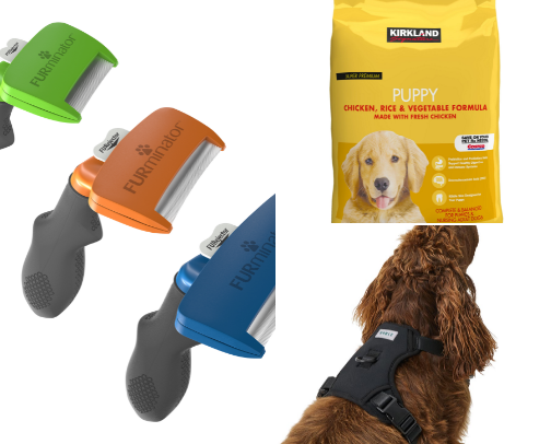 Dog essentials your pooch will love cover photo collage