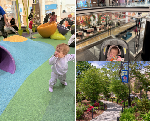 Perfect Spots for Baby Outings in New Jersey 🐣🍼👩‍🍳🏬🛍️🛒 cover photo collage