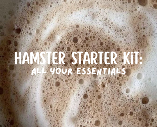 Hamster Starter Kit: Everything You Need for a Safe, Happy, and Enriched Home ☁️✨ cover photo collage