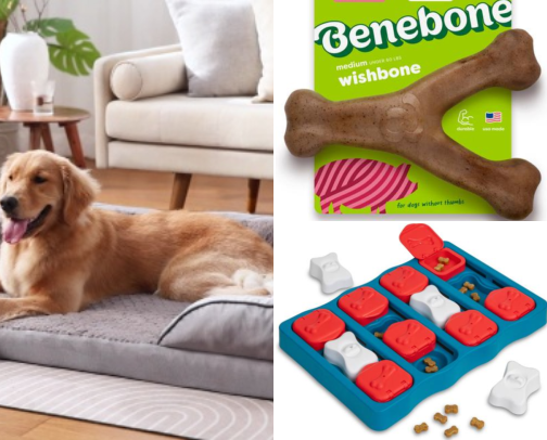 Pet Products-That Actually Work🐶🐱🐠🐈🐕‍🦺🦜🐇🦔🐴 cover photo collage