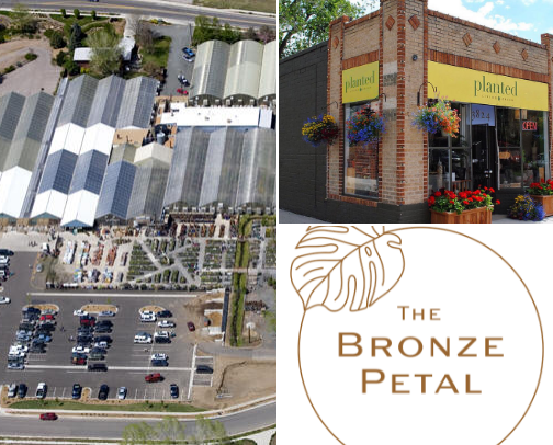 My top 10 Denver Plant Shops cover photo collage