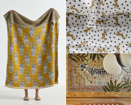 Big Cats & Big Dreams cover photo collage
