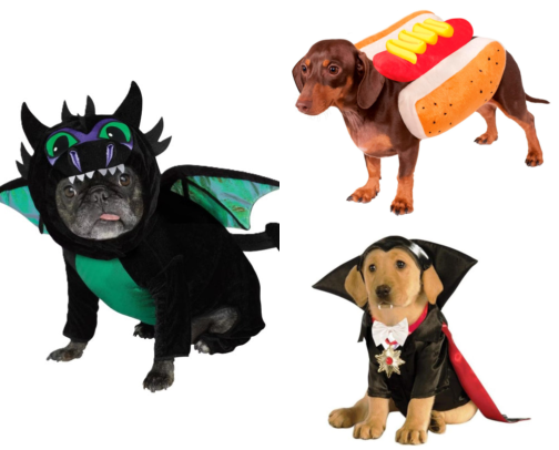 Adorable costumes for your furry besties! cover photo collage