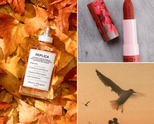 Necessary for November 🍂 cover photo collage