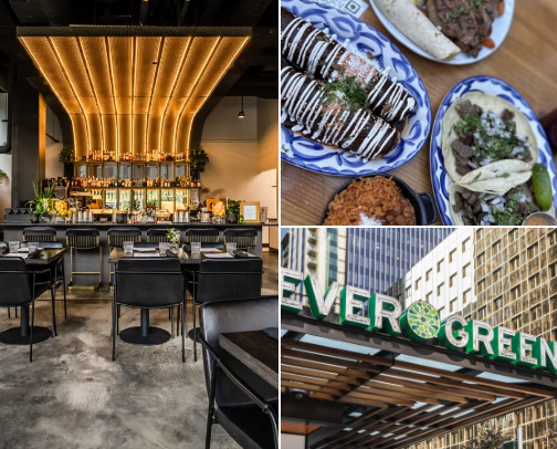 Seattle Restaurant Recs — SLU cover photo collage