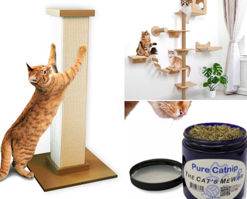 Dogs and cats oh my...... Get those furbabies the must have to keep then entertained, safe and happy cover photo collage
