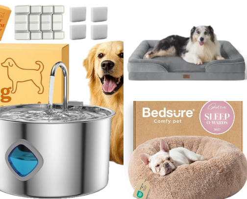 Best Christmas Gifts for Dogs — Fun, Cozy & Practical Everyday Essentials cover photo collage