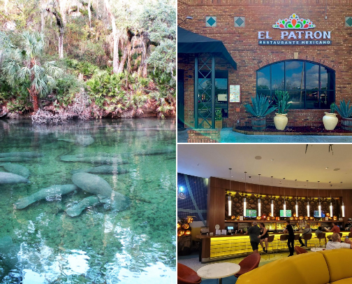 My new list cover photo collage