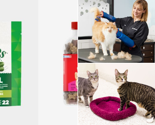 Living with pet cover photo collage