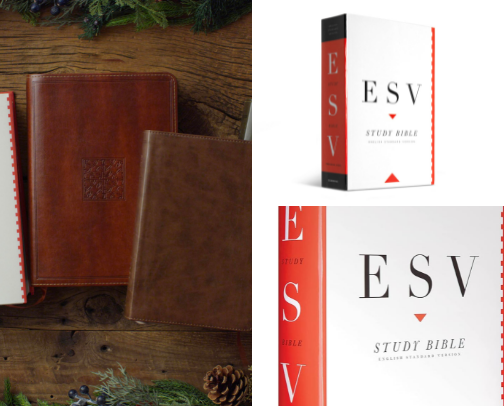 ESV Study Bible cover photo collage