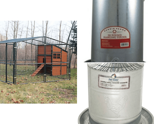 My Chicken Life cover photo collage