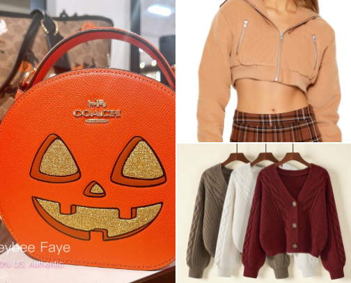 Fashion for Fall (if it ever comes)🍂🍁 cover photo collage