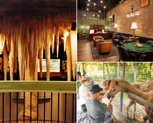 Best Places In Horse Cave, KY📍✨ cover photo collage