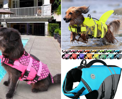 Adventure-Ready Dog Life Jackets cover photo collage