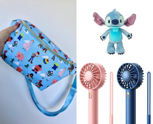 DISNEY WORLD ESSENTIALS cover photo collage